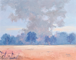 Benalla Burn Off