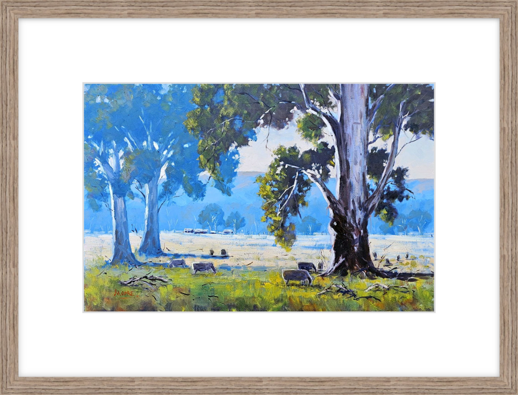 Benalla Winter Burn Off - Limited Release Framed Print